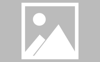 梨树县机械网站搭建全包（机械网址大全）